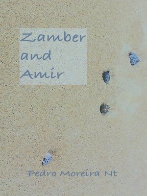 cover image of Zamber and Amir